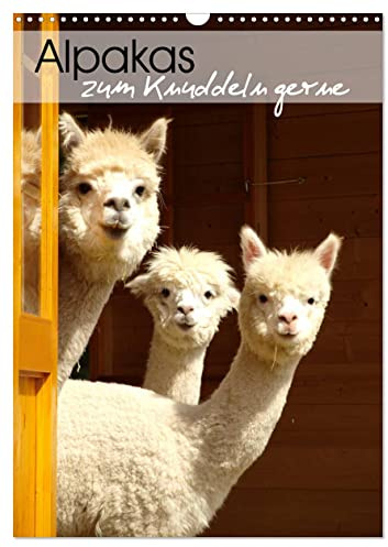 Alpakas zum Knuddeln gerne (Wandkalender 2026 DIN A3 hoch), CALVENDO Monatskalender: Eine liebevoll zusammengestellte Sammlung mit Portraits von zuckersüßen Alpakas (CALVENDO Tiere)