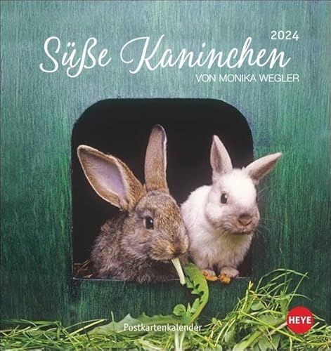 Süße Kaninchen Postkartenkalender 2024. Tierfotografin Monika Wegler setzt in einem kleinen Kalender niedliche Häschen in Szene. Tischkalender im Postkartenformat.