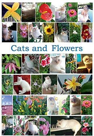 Cats and Flowers: 35 children song games (SolfaNet)