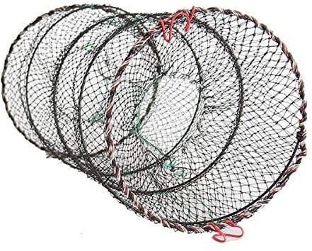 Faltbare Köderfischreuse 60x30 cm Aalreuse Krebsreuse Fischreuse (Reuse 60x30)