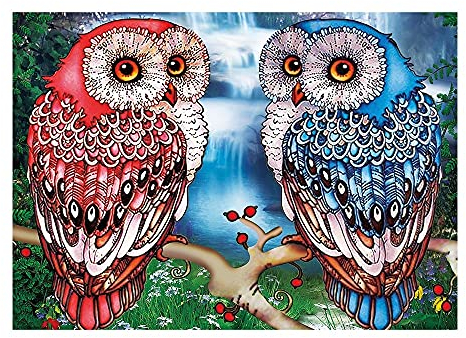 Ideen mit Herz 5D Diamond Painting Set | Strass-Edition | Eulen | Motivleinwand | Motiv: 25 cm x 35 cm | Diverse Strasssteinchen | Inkl. Zubehör