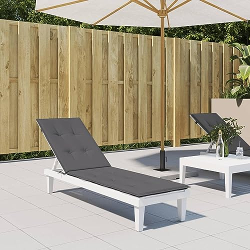 ZEYUAN Liegestuhl-Auflage, Hollywoodschaukel Auflage, Sonnenliege Auflage, Gartenliege Auflage, Liegenauflage, Deckchair Auflagen, Anthrazit (75+105) x50x3 cm