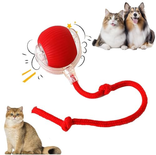 Katzen Spielzeug Kitten,Interaktives Kätzchenball Spielzeug USB aufladbar, DREI Betriebsmodi, 360° drehbar Smart Ball für Katzen und Hunde (rot)