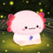 Ainiv Axolotl Night Light, Cute Silicone Axolotl Lamp for Kids, USB Rechargeable Bedside Lamp, 3 Levels Brightness, 30 Mins Timer, Portable Nursery Night Lamp for Bedroom, Baby, Breastfeeding, Adult