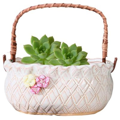 Succulent Ceramic Pot, Bonsai Ceramic Planter, Garden Planter Pot, Balcony Flower Pot, Modern Ceramic Planter, Indoor Garden Planter, Outdoor Succulent Planter, Decorative Bonsai Pot