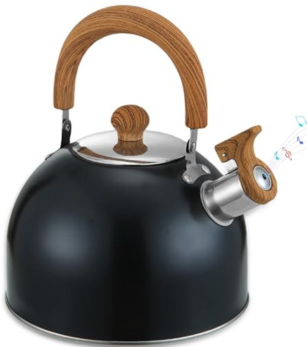 VEGOATY Hervidor de agua 3L inducción: acero inoxidable semicírculo fondo plano negro, tetera de acero inoxidable, hervidor de flauta, hervidor de agua, tetera retro para cocina, hogar y camping