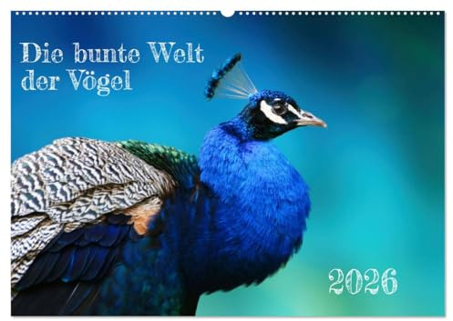 Die bunte Welt der Vögel (Wandkalender 2026 DIN A2 quer), CALVENDO Monatskalender: Bunte und farbenfrohe Vögel ein ganzes Jahr lang erleben (CALVENDO Tiere)