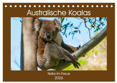 Australische Koalas (Tischkalender 2026 DIN A5 quer), CALVENDO Monatskalender: Koalas sind nachtaktive Beuteltiere, die nur im Osten Australiens beheimatet sind. (CALVENDO Tiere)
