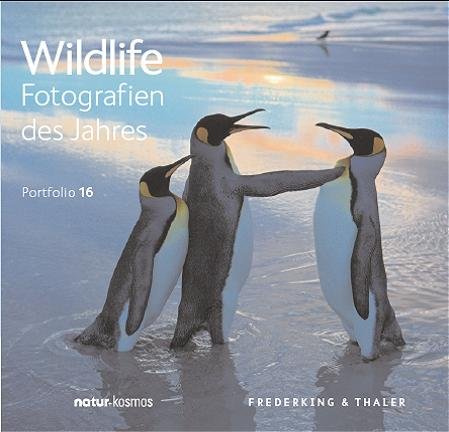 BBC Wildlife Fotografien des Jahres 2006: Portfolio 16