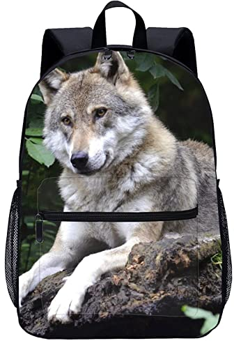Kinder Schulrucksack Wolf Kinderrucksack Lässiger Rucksack Teenager Schulrucksack Mode Schultasche 45x30x15cm 3D coole Bookbags