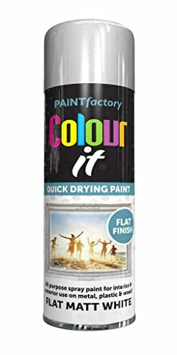 SuperGift.com Flat White Matt All Purpose Aerosol Spray Paint 250ml Quick Drying Spray, Fast Dry and Excellent Coverage for Metal, Wood, Plastic and More by Diva Gift