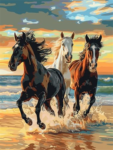 Strand Malen Nach Zahlen Erwachsene, Malen Nach Zahlen Pferd, DIY Handgemalt Ölgemälde Leinwand Set für Anfänger Kinder Inklusive Pinsel und Acrylfarben, 5 6 7 8 9 Jahre Mädchen 50x70cm, Ohne Rahmen