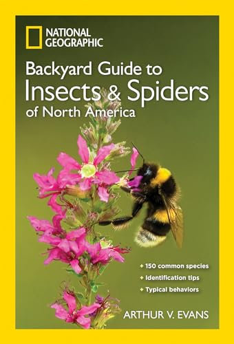 NG Guide to the Insects and Spiders of North America (National Geographic Backyard Guides)