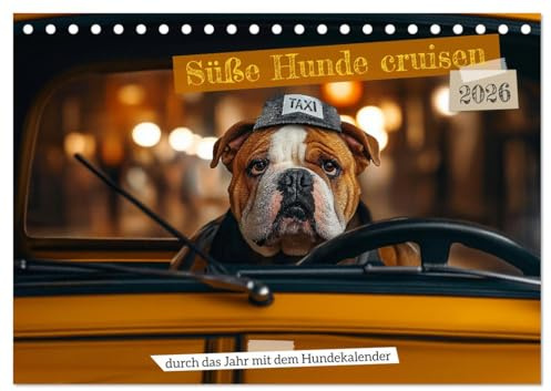 Süße Hunde cruisen - durch das Jahr mit dem Hundekalender (Tischkalender 2026 DIN A5 quer), CALVENDO Monatskalender: Lustiger Hundekalender: Süße ... Kinder und Tierliebhaber. (CALVENDO Tiere)