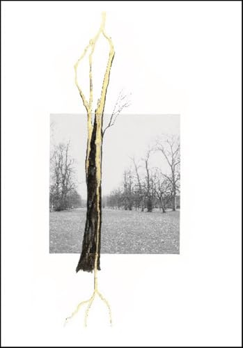 Giuseppe Penone. Thoughts in the Roots: Serpentine Gallery, London