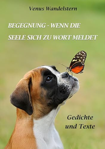 Begegnung - wenn die Seele sich zu Wort meldet: Gedichte und Texte