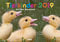 Tierkinder auf dem Bauernhof 2019: Der Sympathische Tierkinder-Kalender mit den charmanten Namen