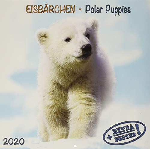 Polar Bears/Eisbärchen 2020: Kalender 2020 (Artwork Edition)