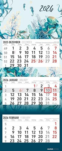 3-Monatskalender Design 2026 - Büro-Kalender 33x20 cm (geschlossen), 33x80 cm (geöffnet) - faltbar - mit Datumsschieber - Alpha Edition