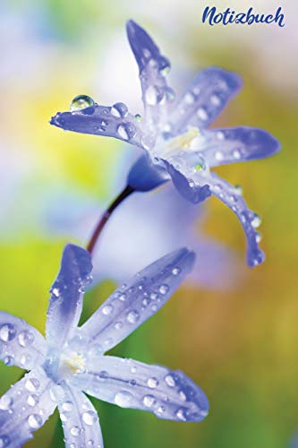 Notizbuch: Blanko A5 Notizbuch für alle die die Iris lieben | Softcover