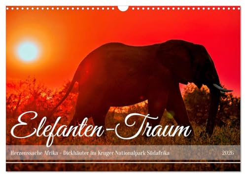 Elefanten-Traum - Herzenssache Afrika (Wandkalender 2026 DIN A3 quer), CALVENDO Monatskalender: Dickhäuter im Kruger Nationalpark Südafrika (CALVENDO Tiere)