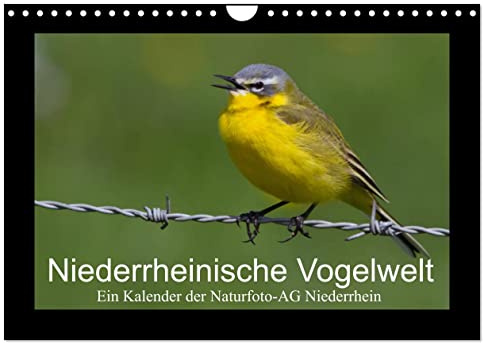 Niederrheinische Vogelwelt (Wandkalender 2026 DIN A4 quer), CALVENDO Monatskalender: Große und kleine Vögel am Niederrhein (CALVENDO Tiere)
