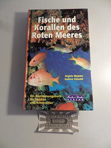 Fische und Korallen des Roten Meeres. Ein Bestimmungsbuch für Taucher und Schnorchler
