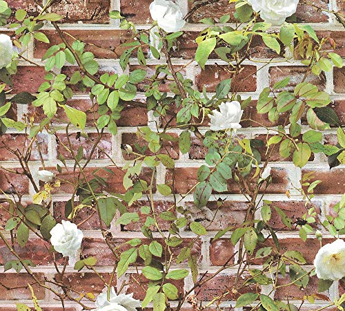 A.S. Création Papiertapete Authentic Walls 2 Tapete in Vintage Backstein Optik mit Efeu Fotorealistisch 10, 05 M x 0, 53 M Rot Grün weiß 365721 36572-1