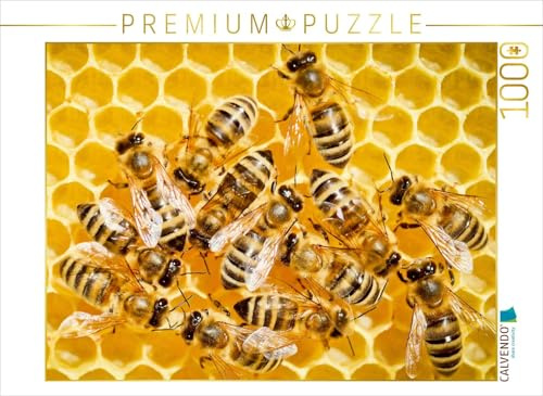 CALVENDO Puzzle Honigbienen auf Einer frisch aufgebauten Wabe. | 1000 Teile Lege-Größe 64 x 48 cm Foto-Puzzle für glückliche Stunden