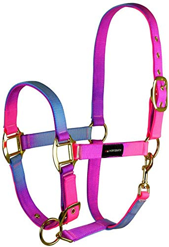 Horsenjoy Pferde Halfter Rainbow weicher Nylon Halfter Weidehalfter Reithalfter (Cob)