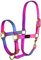 Horsenjoy Pferde Halfter Rainbow weicher Nylon Halfter Weidehalfter Reithalfter (Cob)
