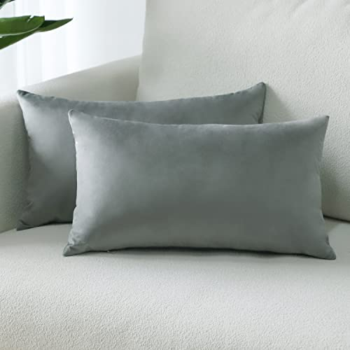 Sungeek 2er Set Samt Kissenbezüge, Dekorativ Zierkissenbezüge Weich Kissenbezug Dekokissen Sofakissen Couchkissen Deko Bezug Kissenhülle für Sofa Schlafzimmer Wohnzimmer (30x50 cm, Hellgrau)