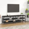Higsose TV-Schrank 160x40x50cm Schwarz,Holzwerkstoff,Eisen,Stauraumschrank,TV-Ständer,HiFi-Schrank,Wohnzimmer Vitrine,Regal Schrank,TV-Schrank Im Industrie-Design,Fernsehschrank Wird, A810