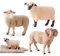 UPKOCH Schickes Und Sicheres Schafmodell – Pädagogisches Spielzeug-lamm Für Kleinkinder – Schaf-Ornament Für Familie Und Freunde