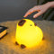 Ainiv Capybara Night Light, Cute Silicone Capybara Nightlights for Children, USB Rechargeable Portable Bedside Lamp, 3 Levels Brightness, 30 Mins Timer, Christmas Birthday Gifts for Boys Girls