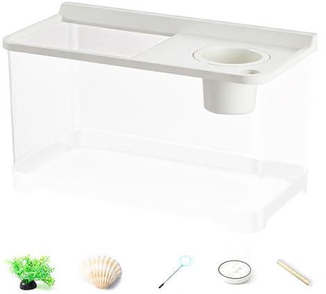 Lueear Betta Aquarium, 3 farbige, Landschaftsbau, Hydrokultur-Aquarium für Tischlandschaftsbau, Zuhause, Arbeitsplatz, Eingang, Foyer, Schlafzimmer