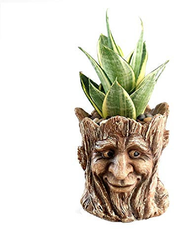 Youfui Indoor Plant Pots Resin Tree Man Planter Pen Holder with Drainage Hole Large Opening for 5.5 inches Plants