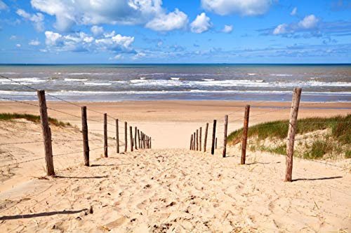 VLIES Fototapete-450x280 cm-STRAND-(PF963)-Nordsee Ostsee Ozean Sand Meer See Dünen Sonne Himmel Wandbild Wandtattoo Poster Dekoration
