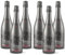Bosca Piemonte DOC Pinot Nero Rosé Esploro 6 x 0.75L