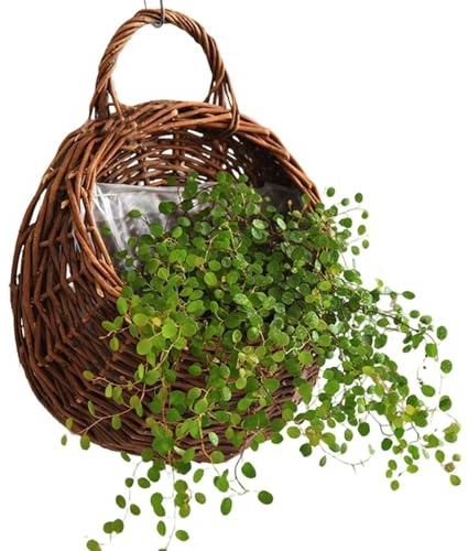 Panier mural tressé en rotin, fabriqué à la main, naturel | Décoration de panier mural pour mariage, cuisine, chambre d'enfant, jardin, chambre à coucher, salon, plantes, ferme