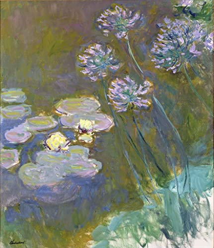 EQVRDCUW Ölgemälde Leinwand Malerei Poster Leinwand Plakat Seerosen und agapanthus von claude monet Leinwandbilder Bild für Wanddekoration 60x90cm