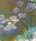 EQVRDCUW Ölgemälde Leinwand Malerei Poster Leinwand Plakat Seerosen und agapanthus von claude monet Leinwandbilder Bild für Wanddekoration 60x90cm