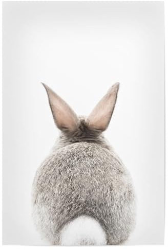 artboxONE Poster 75x50 cm Babyzimmer Tiere Baby Bunny's Tail hochwertiger Design Kunstdruck - Bild Bunny Baby Bunny