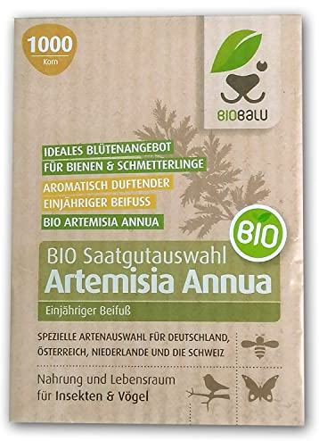 Artemisia Annua Saatgut in Bioqualität aus Demeter Anbau (1000 Korn)