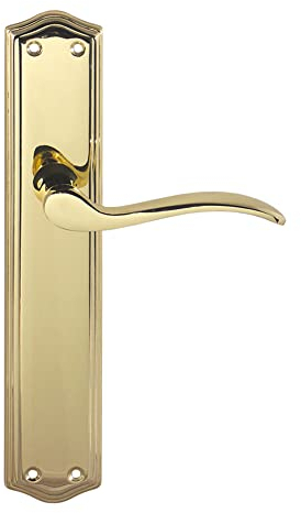 MICEL - 01646 - Juego de manilla para puerta con placa de acero y maneta de aluminio, Acabado latonado, Color dorado, 243 x 118 x 52 mm