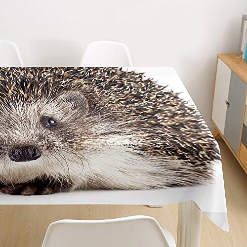 Oduo Tischdecke Wasserdicht Polyester Rechteckig, Tischdecke mit 3D Tierdruck Pflegeleicht Fleckschutz Ölfest Abwaschbar Outdoor Garten Deko Farbe & Größe Wählbar (Grauer Igel,90x90cm)