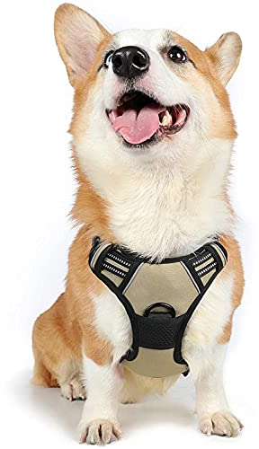 rabbitgoo Hundegeschirr Mittelgroße Hunde, Anti Zug Geschirr mit Kontrolle, No Pull Verstellbar Hundegeschirr Grosse Hunde, Atmungsaktiv Reflexstreifen Brustgeschirr Sichere Führung Kaki M