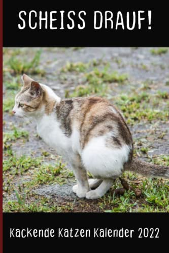 Kackende Katzen Kalender 2022: Das lustige Geschenk für Männer, Frauen, Freunde und Katzenliebhaber zum Geburtstag oder Weihnachten