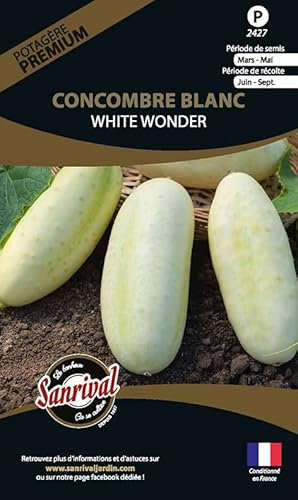 Graines potagères Premium Concombre Blanc White Wonder