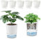Lot de 6 pots à herbes aromatiques auto-arrosants de 12,5 cm avec système d'irrigation, cache-pot avec réservoir d'eau et corde en coton, pour toutes les plantes d'intérieur, fleurs et herbes